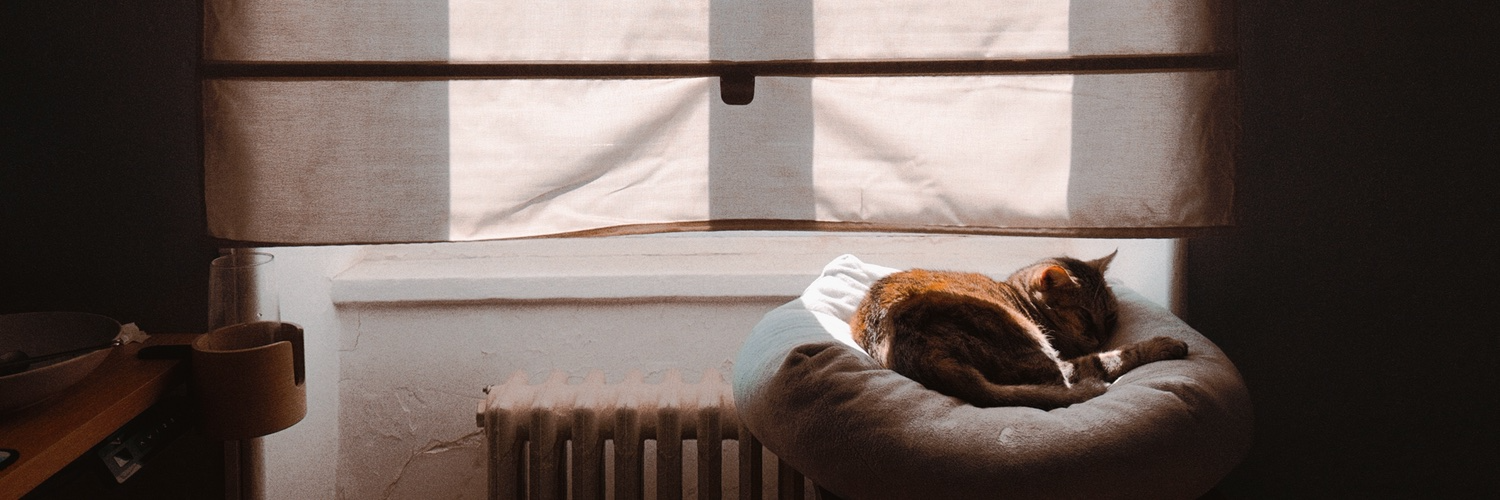 Header Image